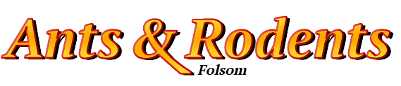 Folsom Ant Exterminator & Rodent Control Company Logo
